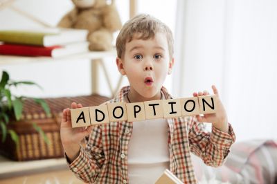 Get Guidance in Selecting the Adoption Pathway!