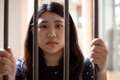 Get Expertise with the Juvenile Justice System!