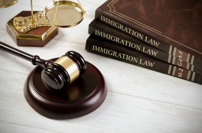 Filing the Appropriate Appeals and Motions