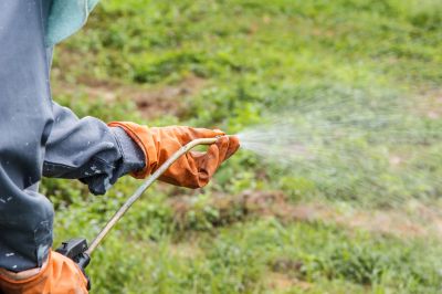 Get an Assessment of Damages!
